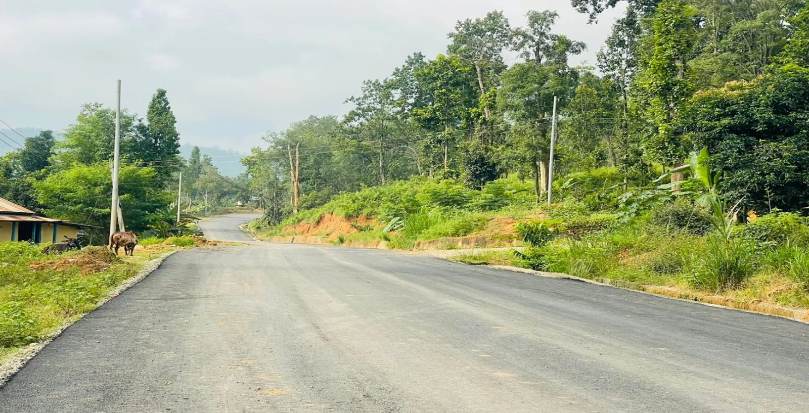 Bindabasini to Yamdi Road Widening